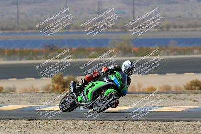 media/Apr-10-2022-SoCal Trackdays (Sun) [[f104b12566]]/Turn 14 (10am)/